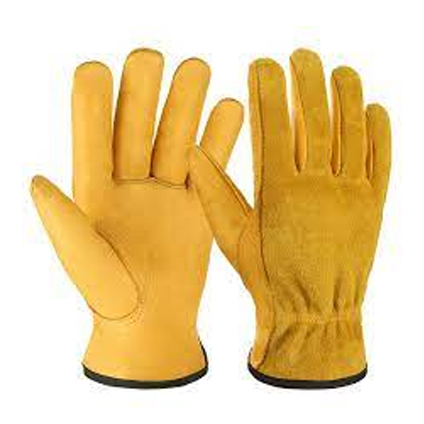 CSCI Gloves 3